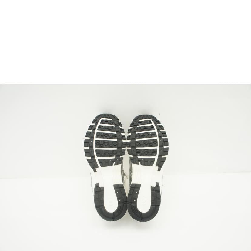 NIKE ナイキ/P-6000 Metallic Silver/CN0149-001//Aランク/05
