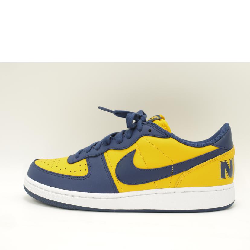 NIKE ナイキ/NIKE TERMINATOR LOW/FJ4206-700//Aランク/69