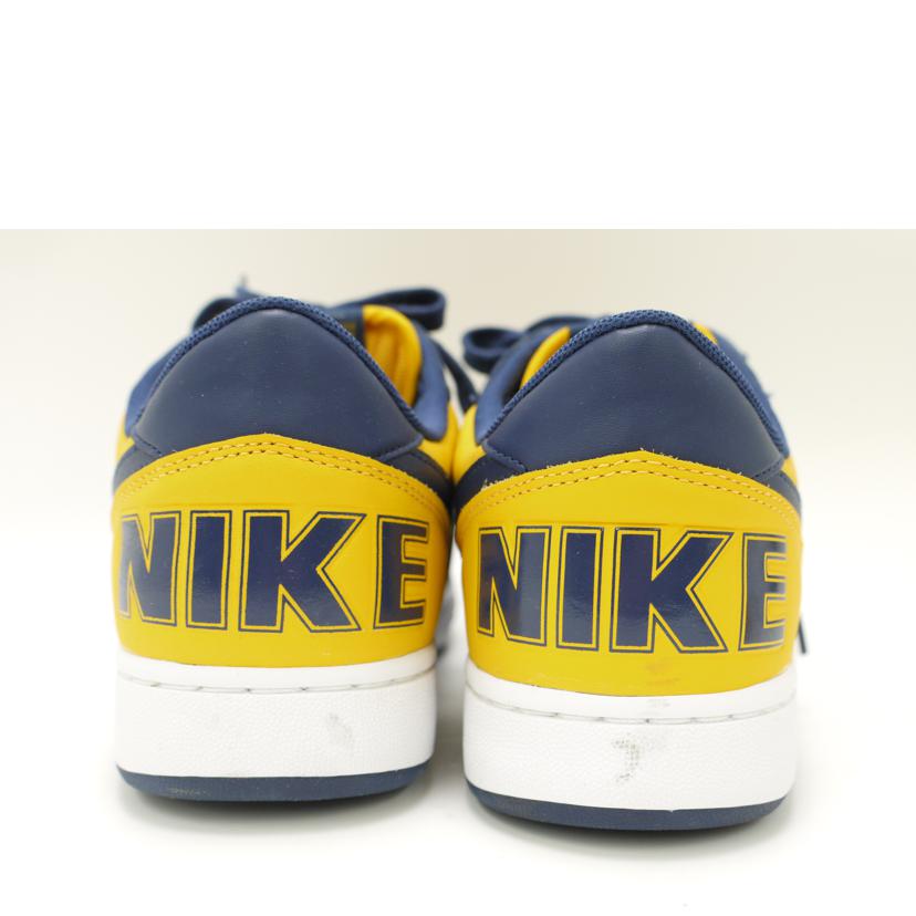 NIKE ナイキ/NIKE TERMINATOR LOW/FJ4206-700//Aランク/69