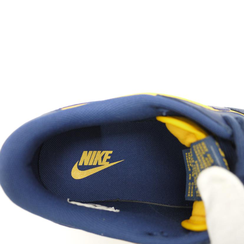 NIKE ナイキ/NIKE TERMINATOR LOW/FJ4206-700//Aランク/69