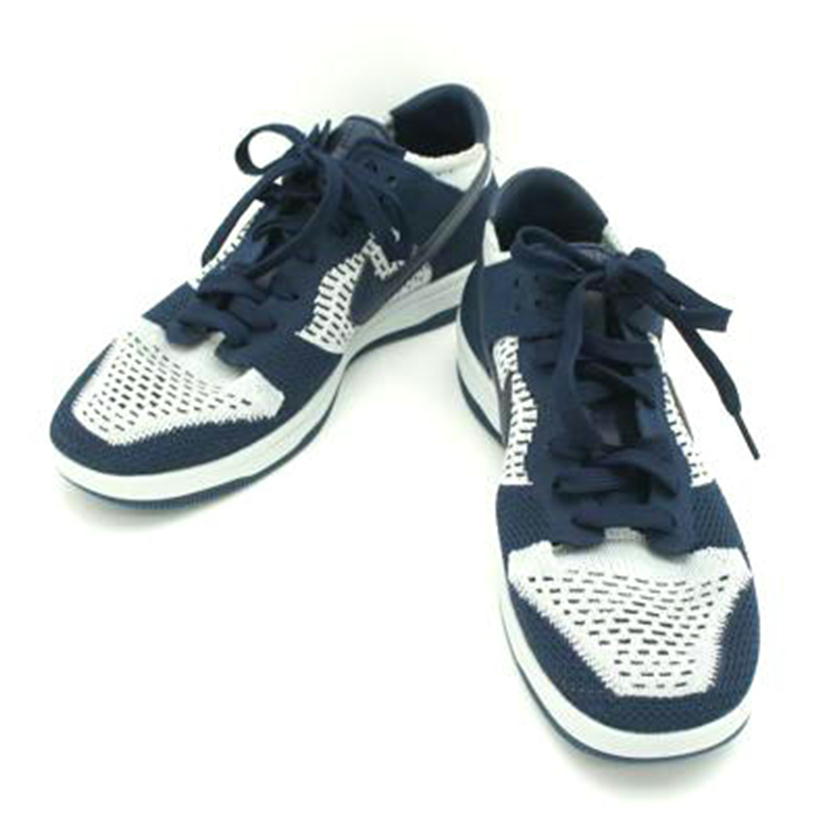 NIKE ナイキ/DUNK FLY KNIT/917746//Aランク/06