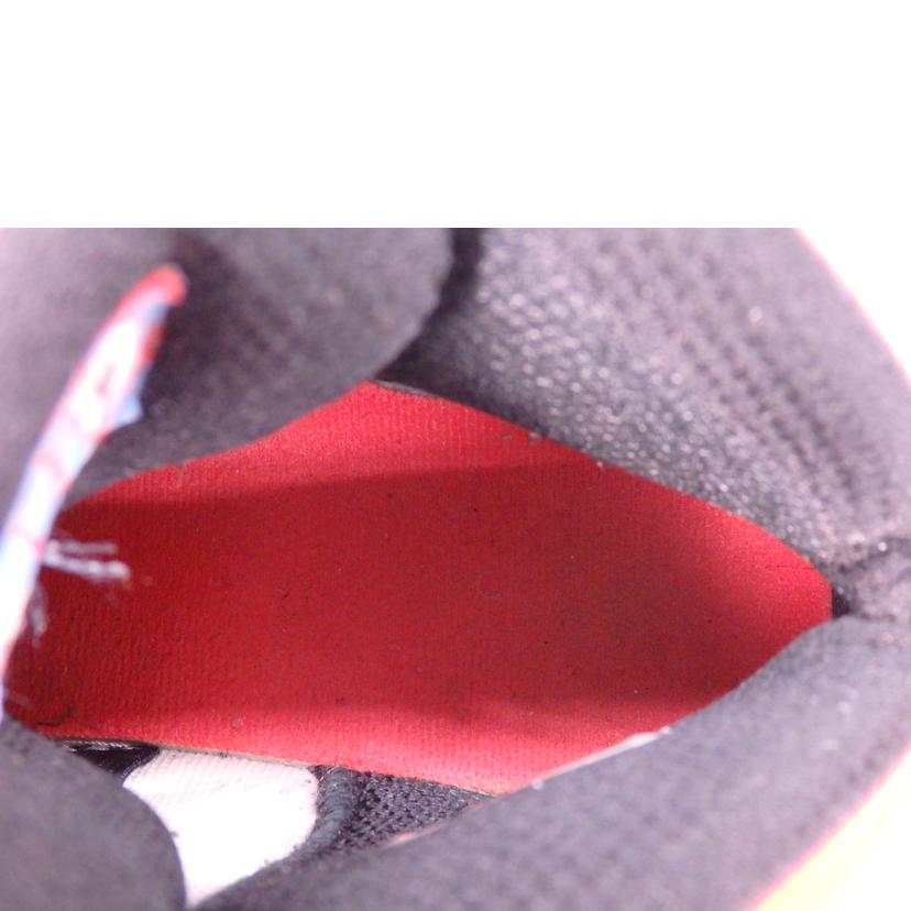 NIKE ナイキ/AIR JORDAN 10 RETRO/310806-114//Bランク/76