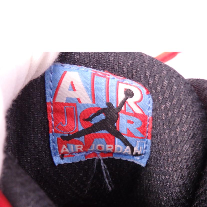 NIKE ナイキ/AIR JORDAN 10 RETRO/310806-114//Bランク/76