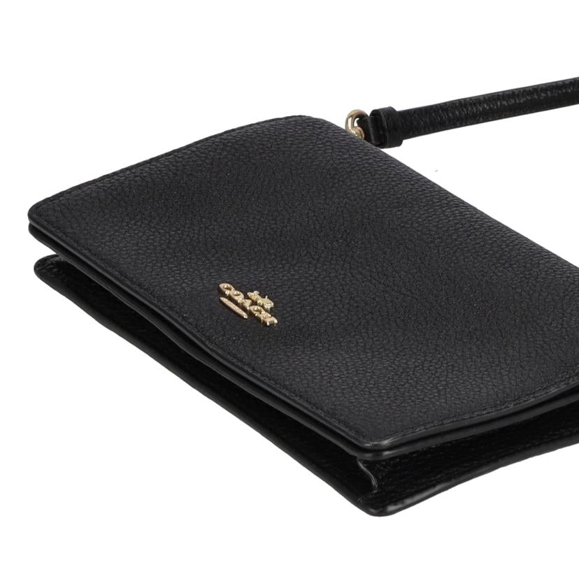 COACH コーチ/アンナフォルドオーバークロスボディクラッチ/3037//B20**/Aランク/09