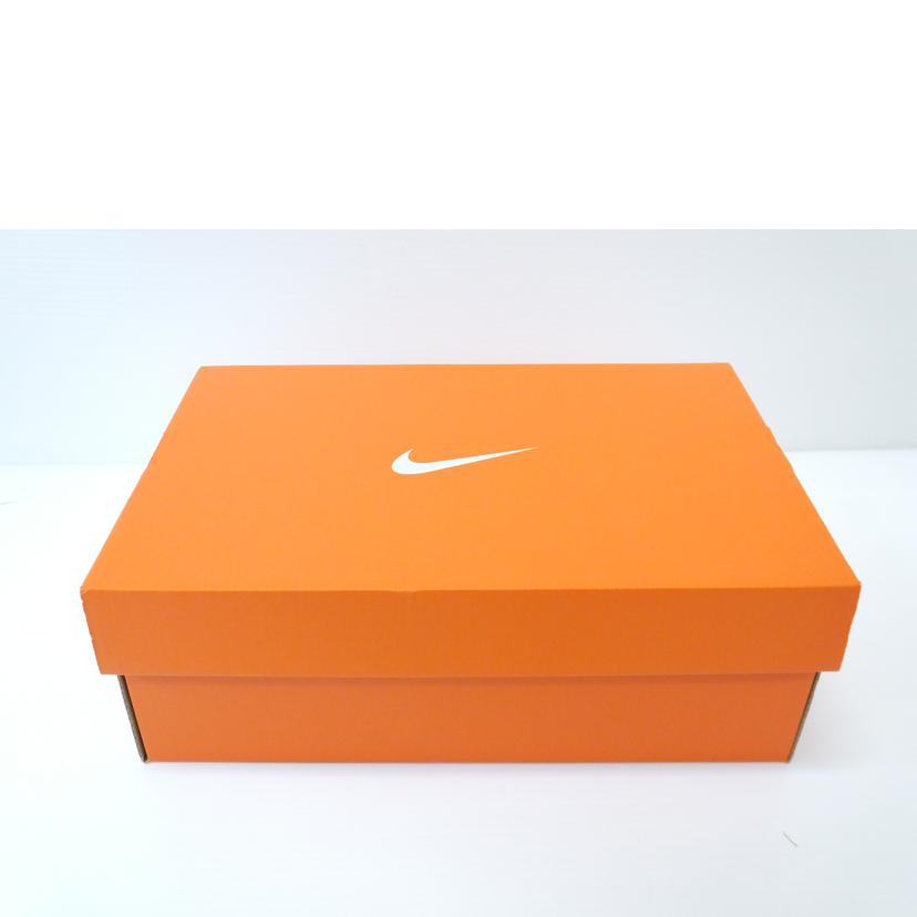 NIKE ナイキ/ZOOMX STREALFLY2/HF6416-100//Bランク/88