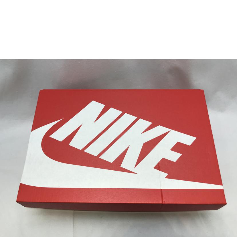 NIKE ナイキ/DUNK LOW RETRO/DJ6188 101//Sランク/51