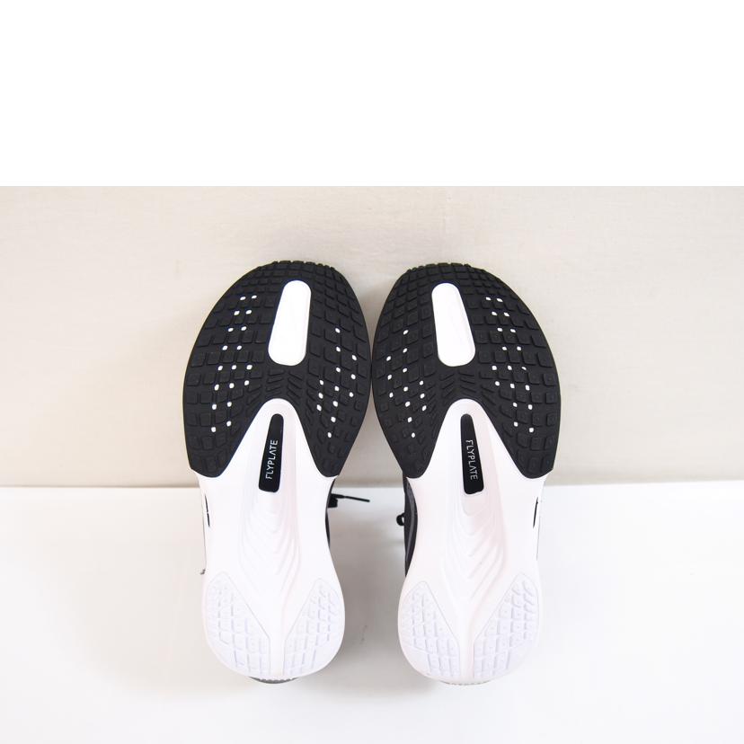 NIKE ナイキ/NIKE ZOOM FLY6/9264710832455//-/Aランク/71