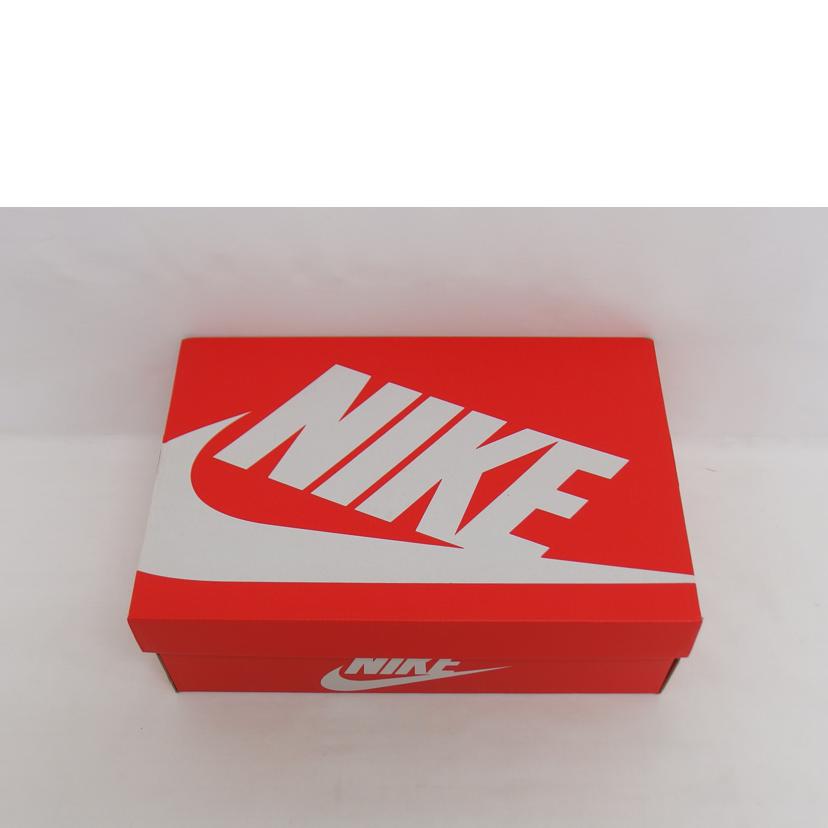 NIKE ナイキ/ダンクローレトロ/DV0831-104//SAランク/04