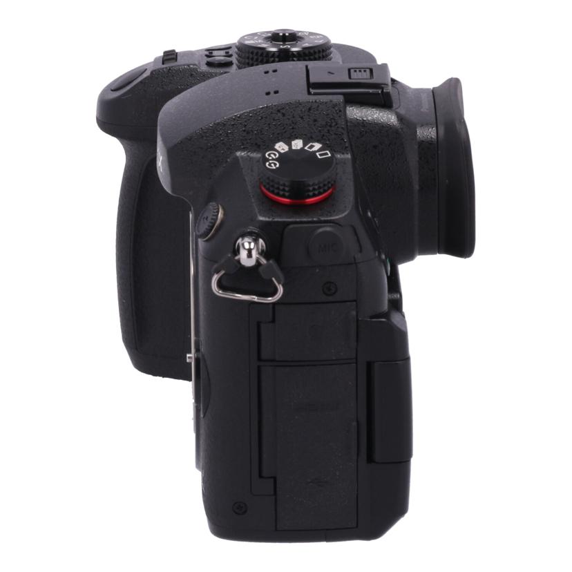 Panasonic パナソニック /ミラーレス一眼 ボディ/DC-GH5S ボディ//WH9FC001984/Bランク/78