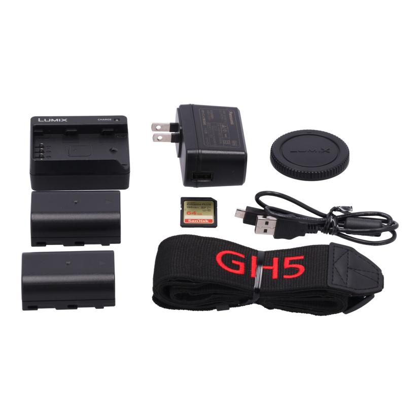 Panasonic パナソニック /ミラーレス一眼 ボディ/DC-GH5S ボディ//WH9FC001984/Bランク/78