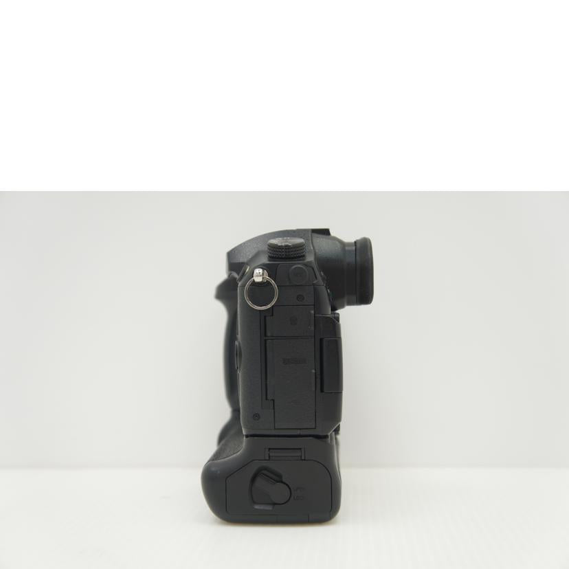 LUMIX LUMIX/ミラーレス一眼/LUMIX DC-GH5 ボディ/LUMIX DC-GH5 //31049/BCランク/75