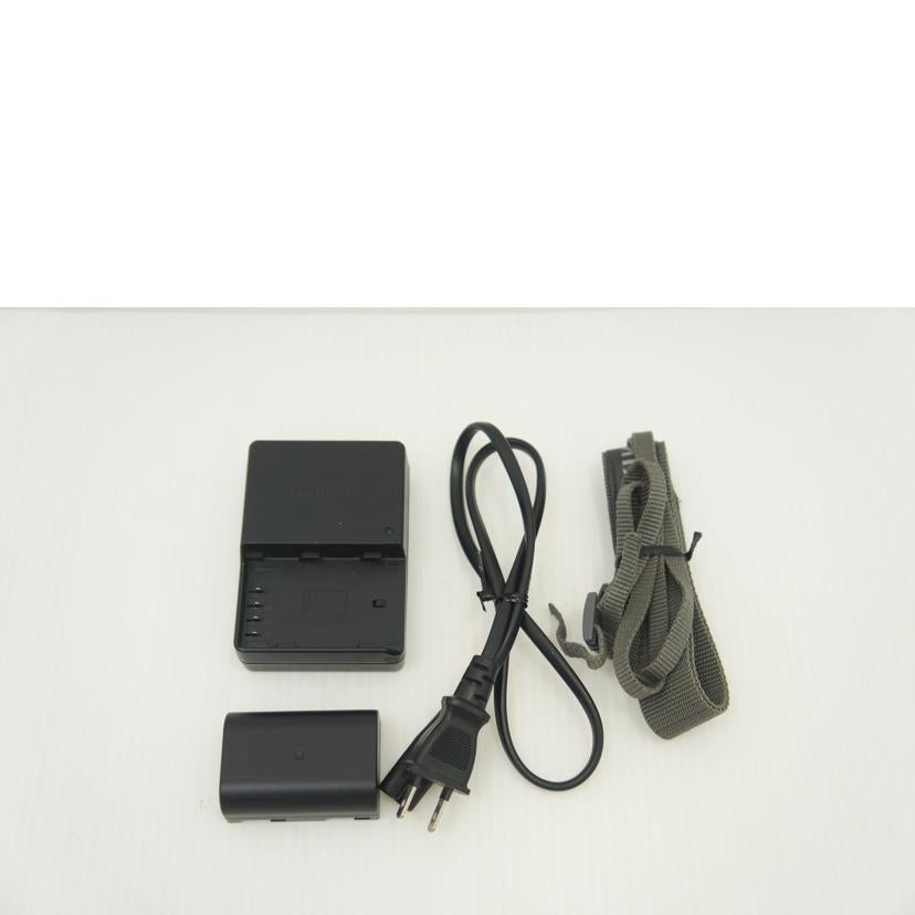 LUMIX LUMIX/ミラーレス一眼/LUMIX DC-GH5 ボディ/LUMIX DC-GH5 //31049/BCランク/75