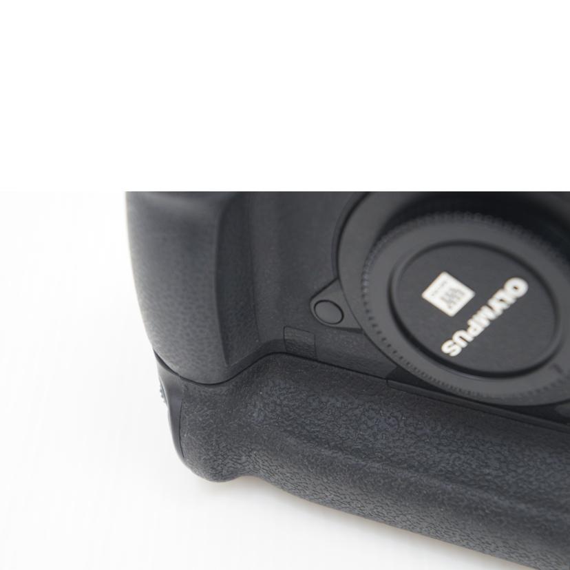 LUMIX LUMIX/ミラーレス一眼/LUMIX DC-GH5 ボディ/LUMIX DC-GH5 //31049/BCランク/75