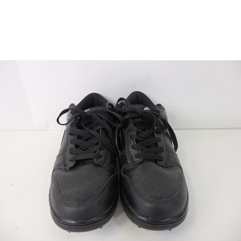 /NIKE DUNK ゴルフシューズ/488345-003//Bランク/84