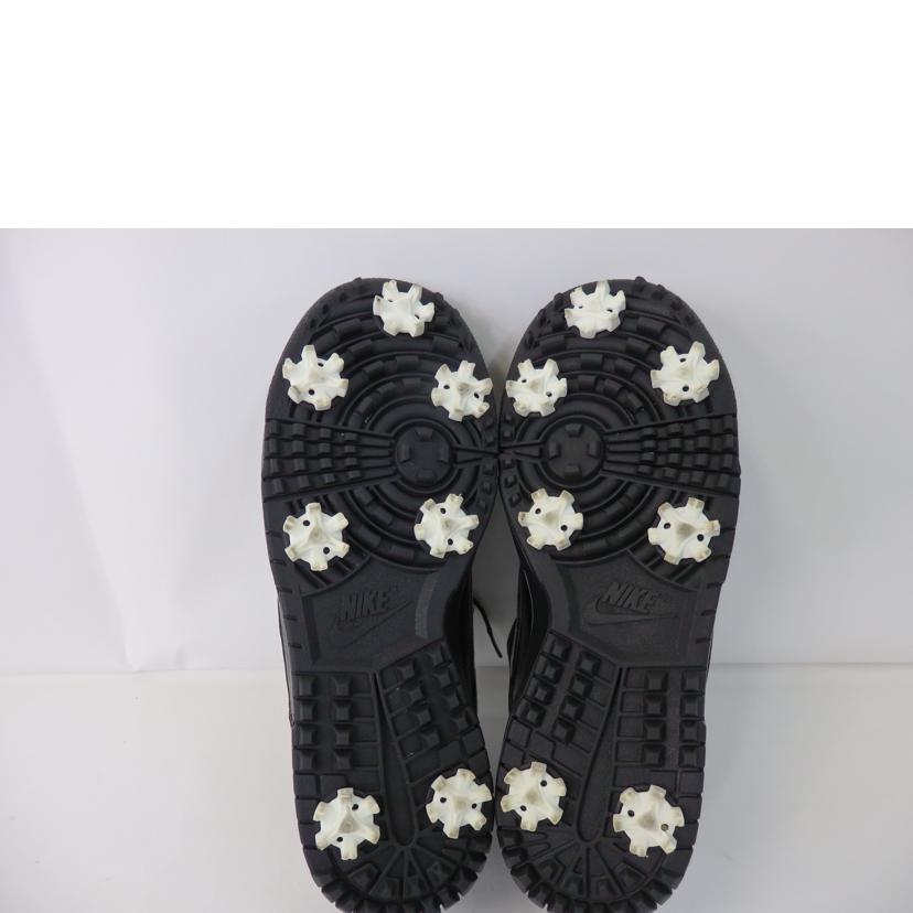 /NIKE DUNK ゴルフシューズ/488345-003//Bランク/84