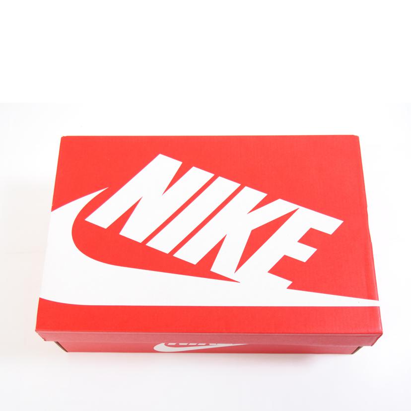 NIKE ナイキ/Dunk Low University Gold/DV0831-110//SAランク/71