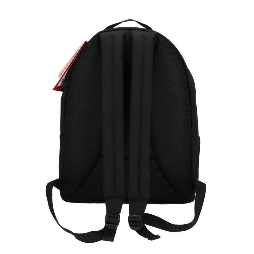 Manhattan Portage マンハッタンポーテージ/BIG APPLE BACKPACK(LG)//Aランク/85