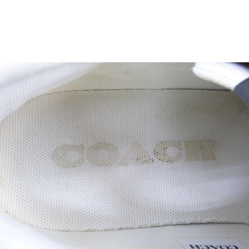 COACH コーチ/CLIP COURT LOW/CLIP COURT LOW//Bランク/64