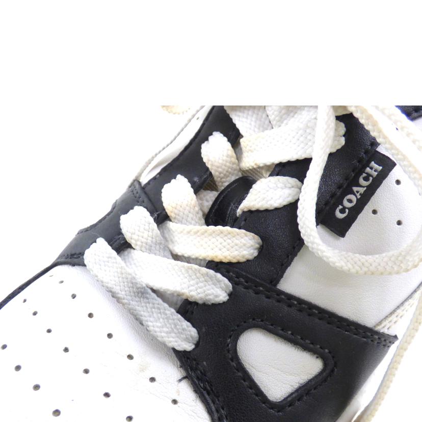 COACH コーチ/CLIP COURT LOW/CLIP COURT LOW//Bランク/64