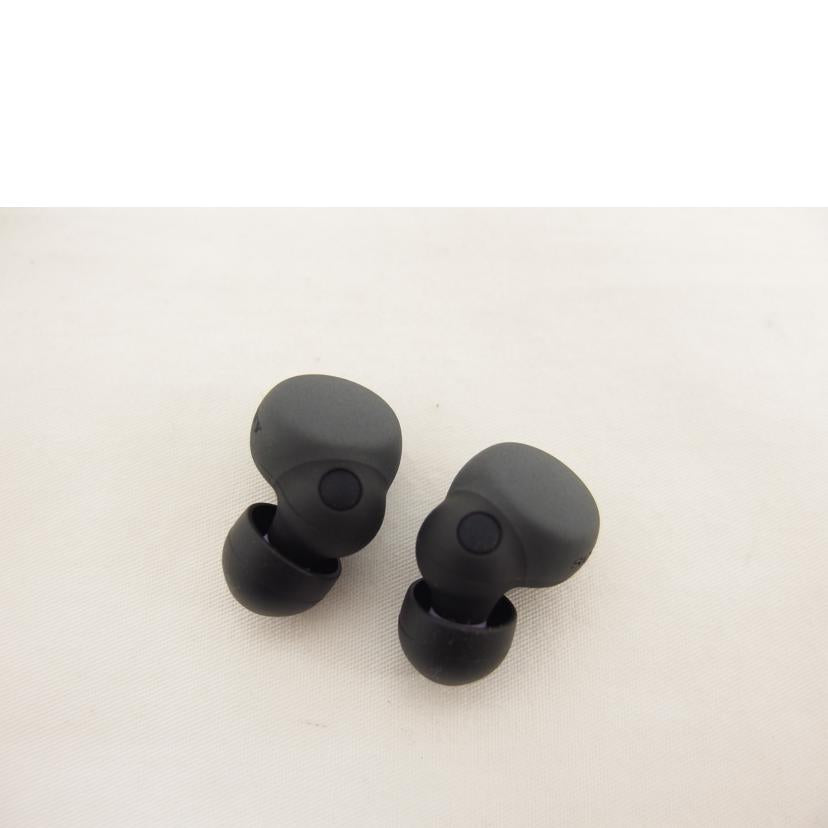 SONY ソニー/YY2950 ヘッドホン/WF-LS900N//Bランク/04