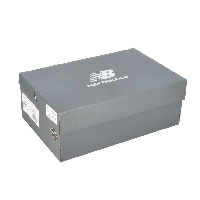 NB ニューバランス/M2002RXJ メンズスニーカー/エディフィス/M2002RXJ//Aランク/93
