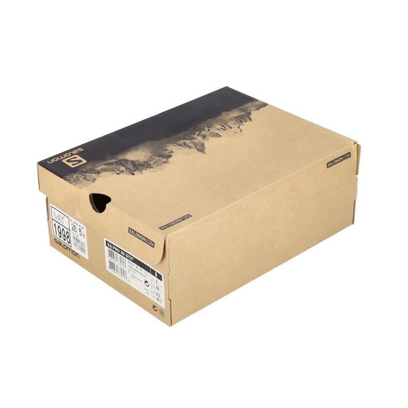 SALOMON サロモン/XA PRO 3D GTX/トレッキングシューズ/379315//ABランク/05