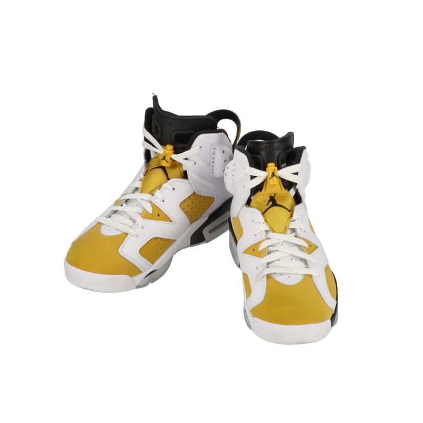 NIKE ナイキ/AIR JORDAN 6 RETRO/CT8529-170//00196975527182/ABランク/85