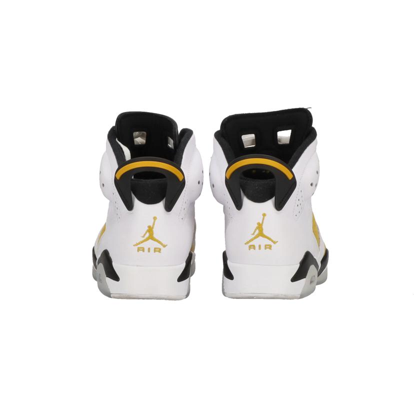 NIKE ナイキ/AIR JORDAN 6 RETRO/CT8529-170//00196975527182/ABランク/85