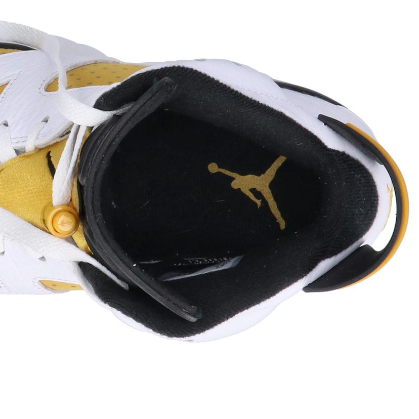 NIKE ナイキ/AIR JORDAN 6 RETRO/CT8529-170//00196975527182/ABランク/85
