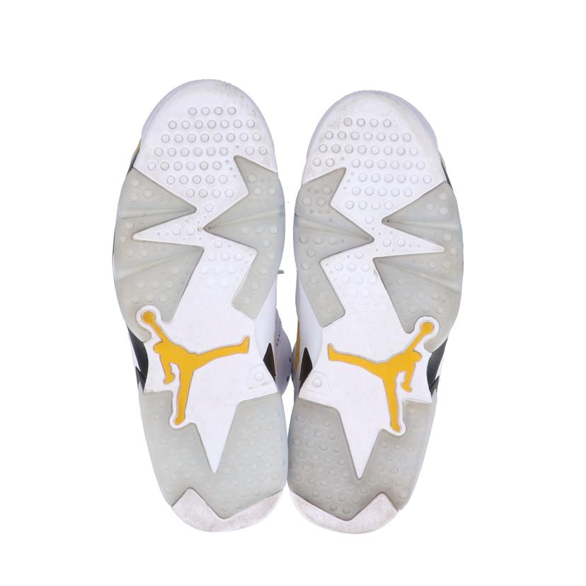 NIKE ナイキ/AIR JORDAN 6 RETRO/CT8529-170//00196975527182/ABランク/85