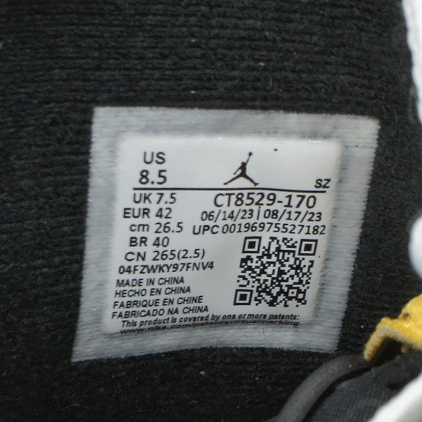 NIKE ナイキ/AIR JORDAN 6 RETRO/CT8529-170//00196975527182/ABランク/85