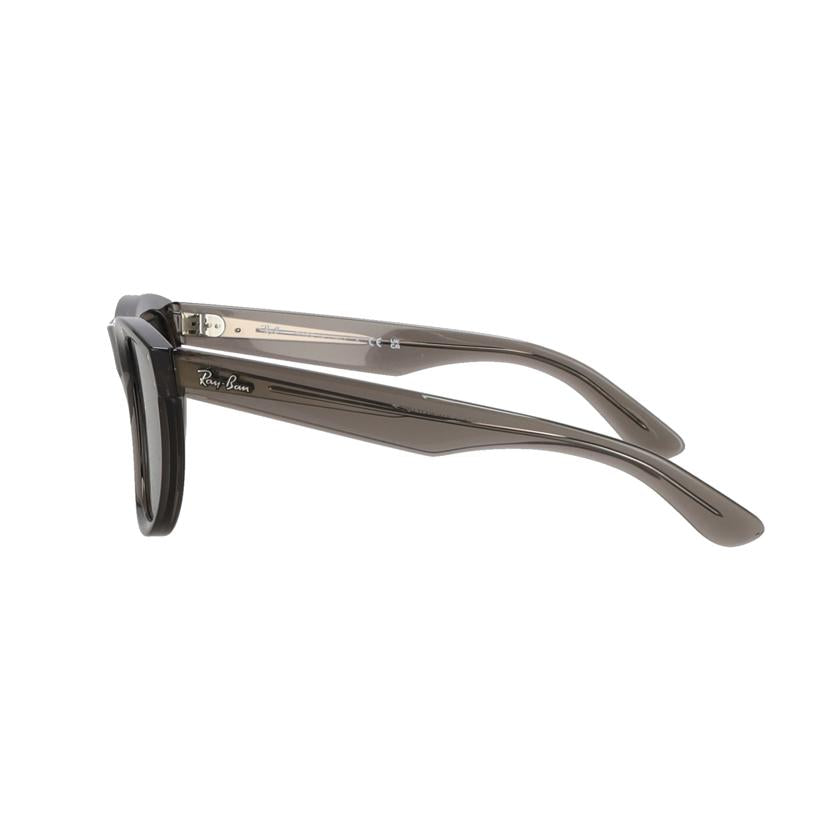 Ray-Ban レイバン/ウェイファーラー リバース/0RBR0502SF//Aランク/09