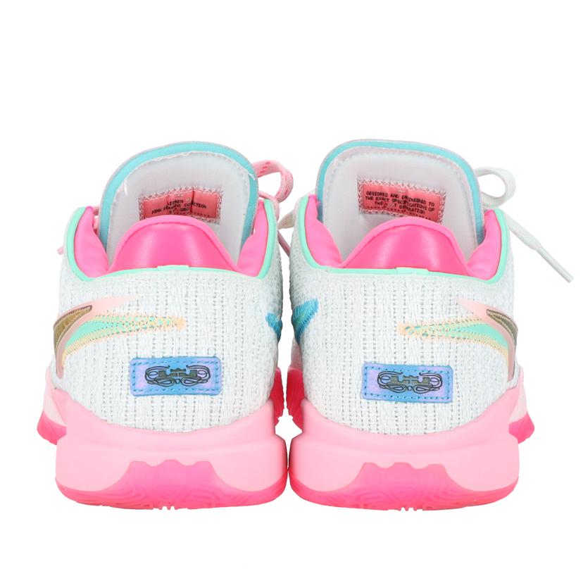 NIKE ナイキ/NIKE LEBRON XX EP/DJ5422-300//Aランク/19