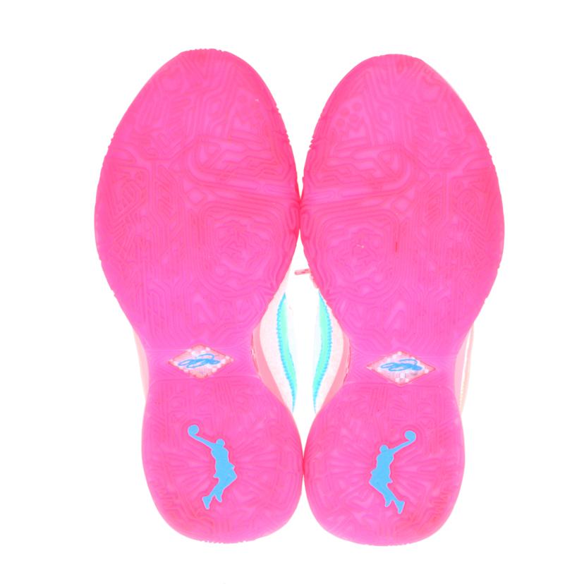 NIKE ナイキ/NIKE LEBRON XX EP/DJ5422-300//Aランク/19