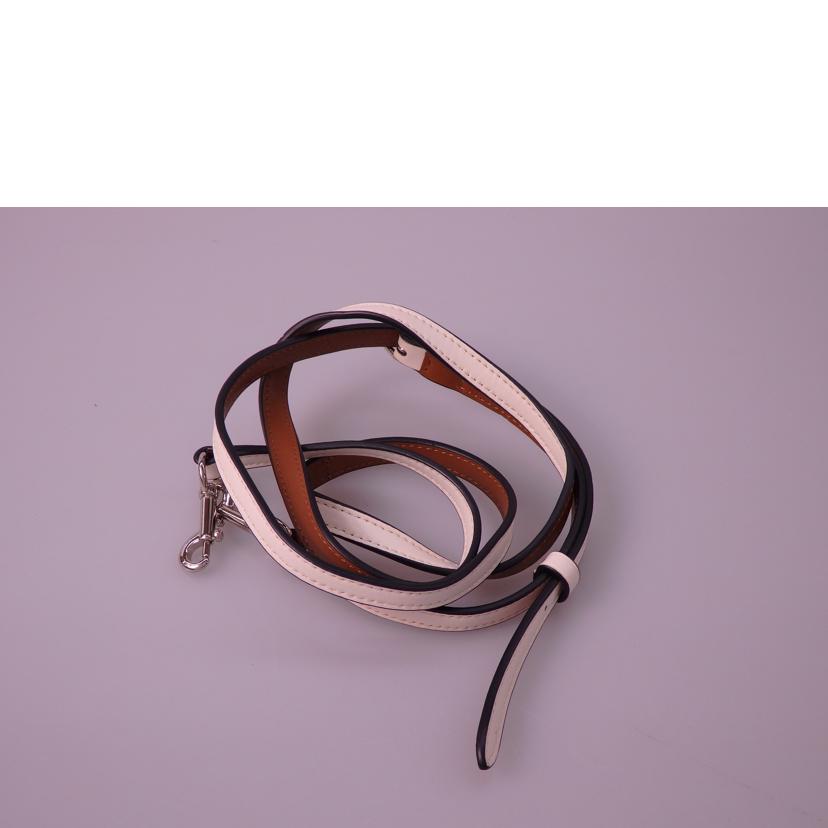 COACH コーチ/ベネットミニサッチェルフローラル/F57921//L16**/Aランク/76