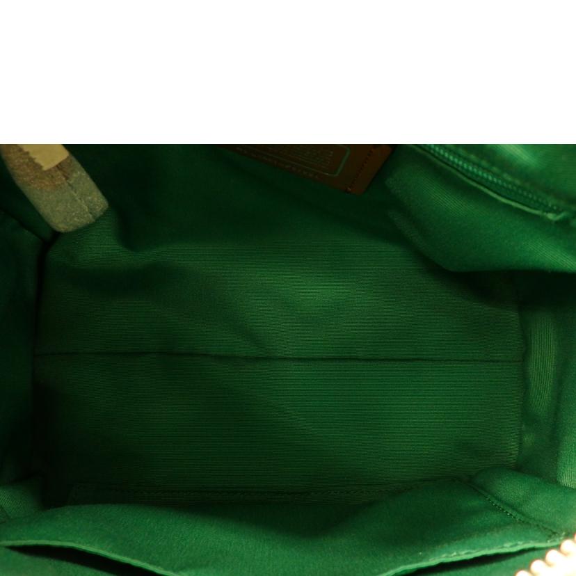 COACH コーチ/ベネットミニサッチェルフローラル/F57921//L16**/Aランク/76