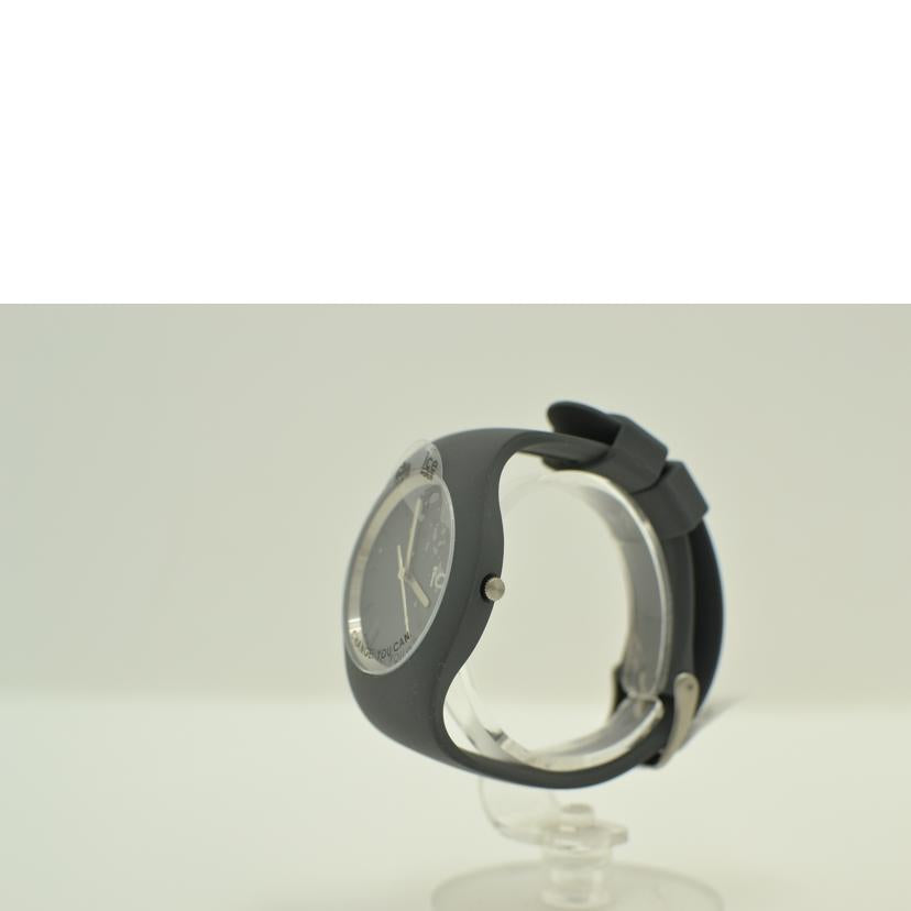 ice/アイスウォッチ ANY/クォーツ/021148//ABランク/75