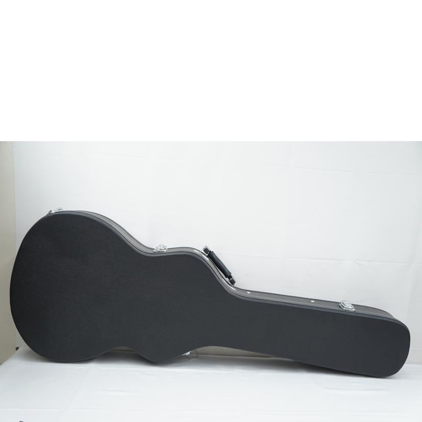 Paul Reed Smith ポールリードスミス/エレキギター/SE HOLLOWBODY II PIEZO/SE HOLLOWBODY II PIEZO//ABランク/67