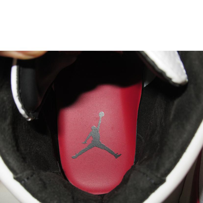 NIKE/AIR JORDAN2/Nina Chanel Abney×NIKE WOMEN's JORDAN/DQ0558-160//ABランク/63