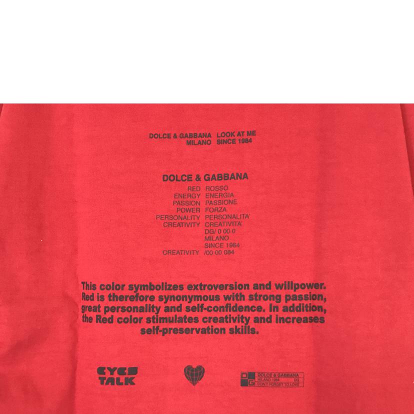 D&G ドルチェ&ガッパーナ/グラフィックTシャツ レッド/G8NV5Z//ABランク/51