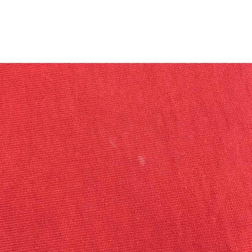 D&G ドルチェ&ガッパーナ/グラフィックTシャツ レッド/G8NV5Z//ABランク/51