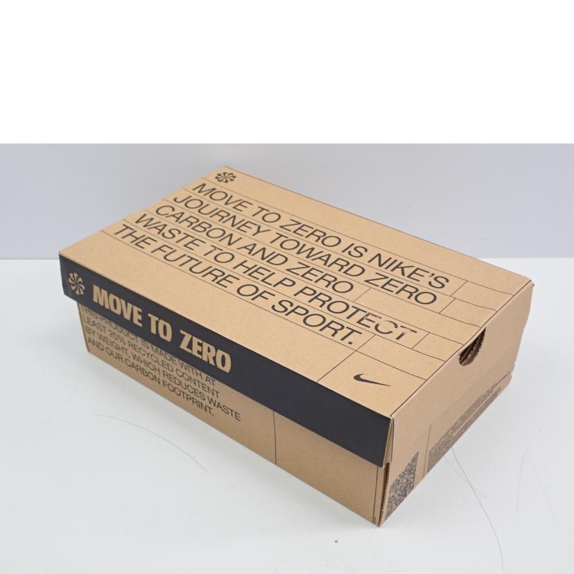 NIKE ナイキ/DUNK LOW NEXT NATURE/DN1431-102//27.0cm/Aランク/62