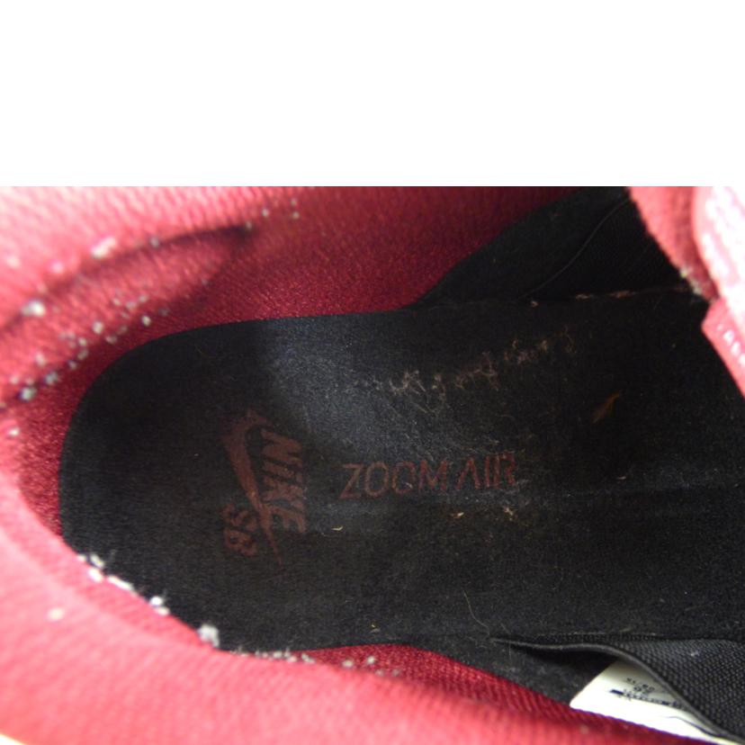 NIKE ナイキ/NIKE DUNK LOW PRO SB/304292-056//Bランク/64