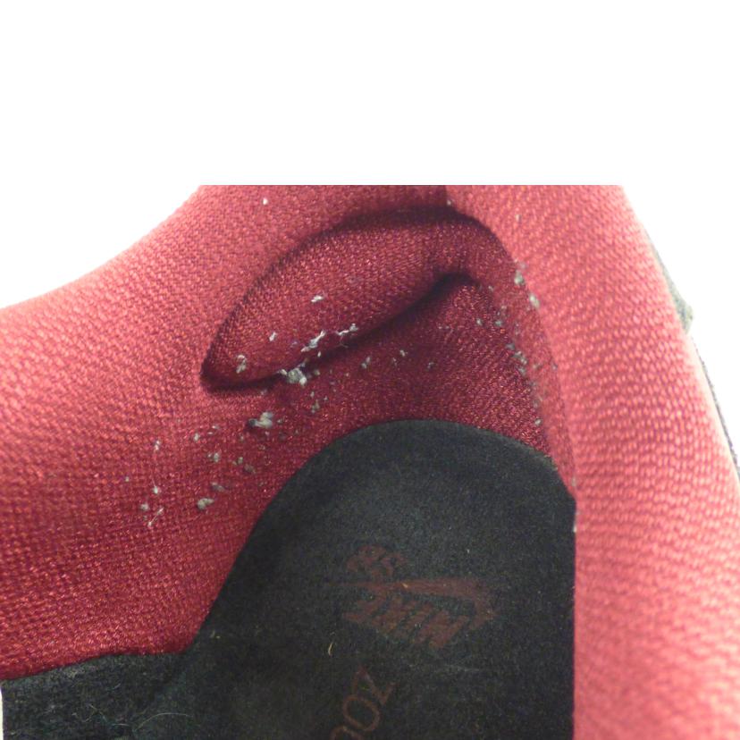 NIKE ナイキ/NIKE DUNK LOW PRO SB/304292-056//Bランク/64