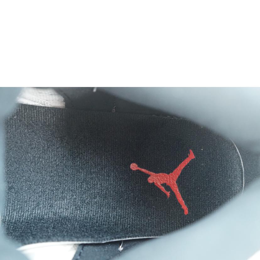 NIKE ナイキ/NIKE AIR JORDAN 12 RETRO 27.0/CT8013-116//Aランク/67