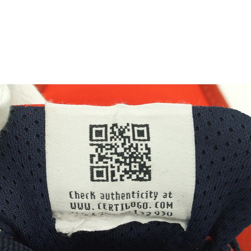 Atlantic STARS/メンズスニーカー//サイズ:41/ABランク/75