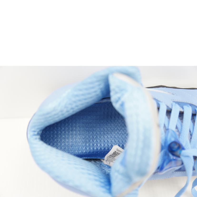 NIKE ナイキ/AIR JORDAN5/ブルー/DV1310-401//Aランク/06