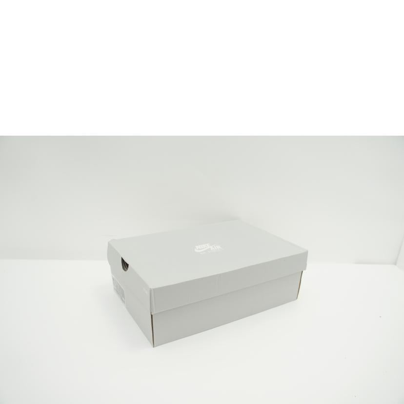 NIKE ナイキ/AIR FORCE 1 ’07/FJ4146-002//Sランク/05