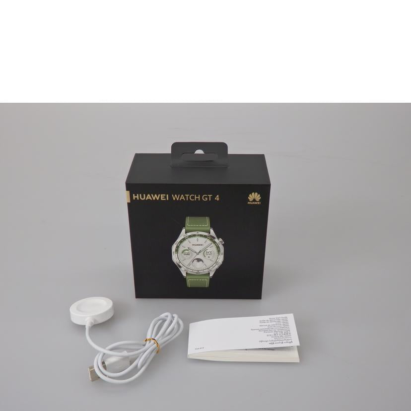 HUAWEI ファーウェイ/WATCH GT4/PNX-B19//ABランク/76
