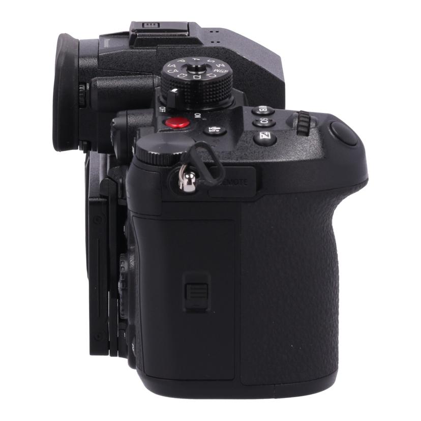 Panasonic パナソニック /ミラーレス一眼 ボディ/DC-GH6/DC-GH6 ボディ//WG2AA006358/Aランク/05